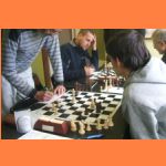 131110_op_bocek_sebral_pesce.JPG
