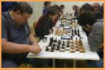 171119_kp2b_lastovicka_dlouha_rosada_se_nabizi.jpg
