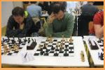 240414_kp1_a_majer_docasne_bez_pesce.jpg