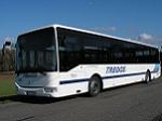 Nhradn autobus