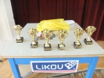 Upoutvka